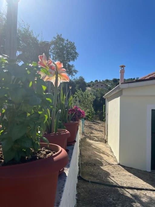 Alex House Parga Exterior foto