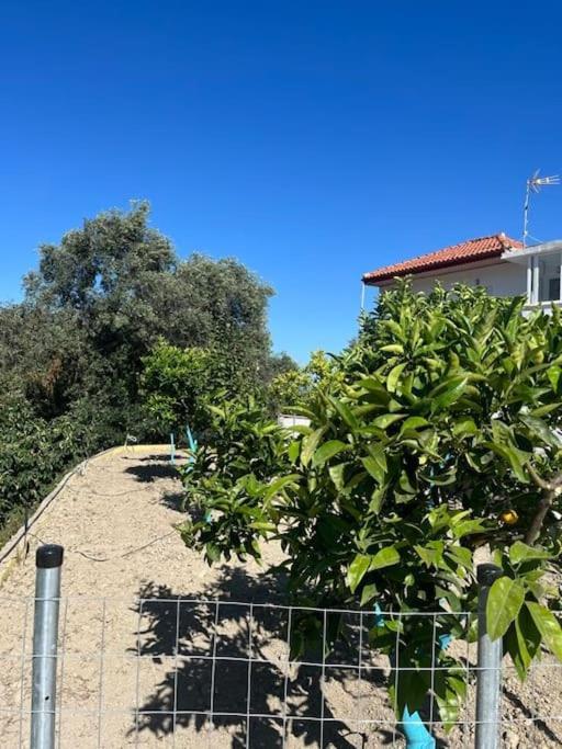 Alex House Parga Exterior foto