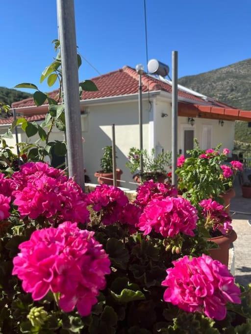 Alex House Parga Exterior foto