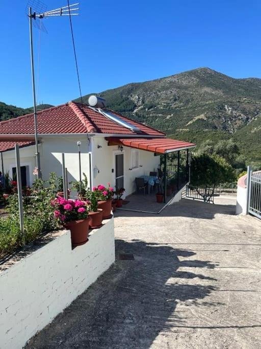 Alex House Parga Exterior foto